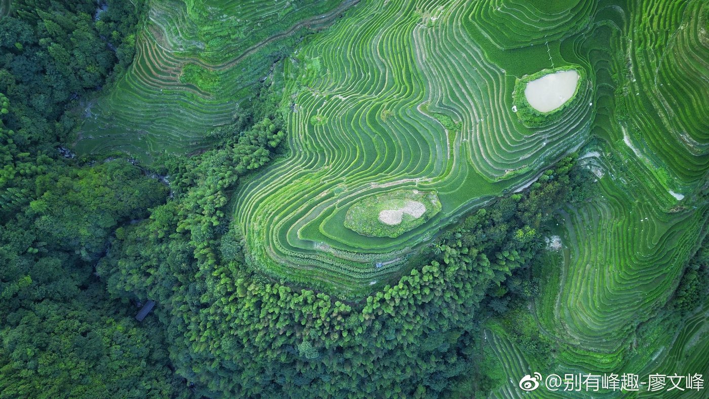 龙脊